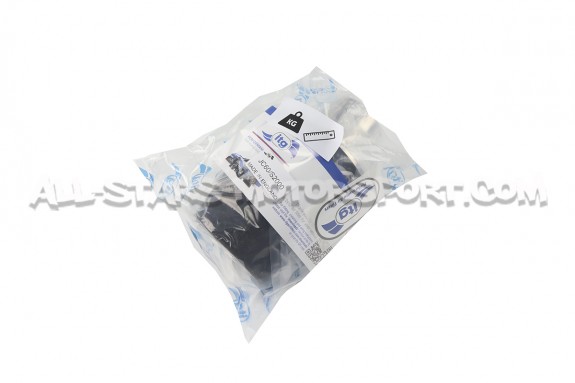 Filtro de aire de alto rendimiento ITG Profilter para Honda S2000