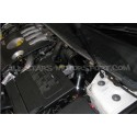 Admision ITG Maxogen para Renault Megane 2 RS 225 / 230