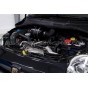 Admission ITG Maxogen pour Renault Clio 3 RS 197