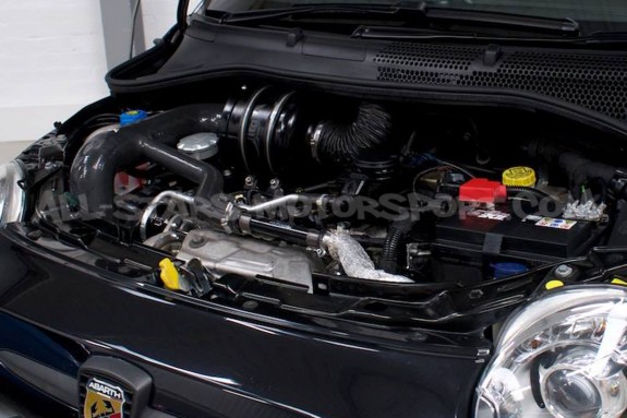 Admission ITG Maxogen pour Renault Clio 3 RS 197