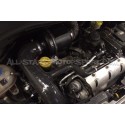 Admission ITG Maxogen pour Renault Clio 3 RS 197