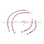Latiguillos de freno metalicos Goodridge para Ford Focus 3 ST