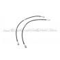Latiguillos de freno metalicos Goodridge para Ford Focus 3 ST