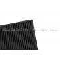 BMW M2 / 135i / 235i / 335i / 435i N55 Ramair Proram Panel Air filter