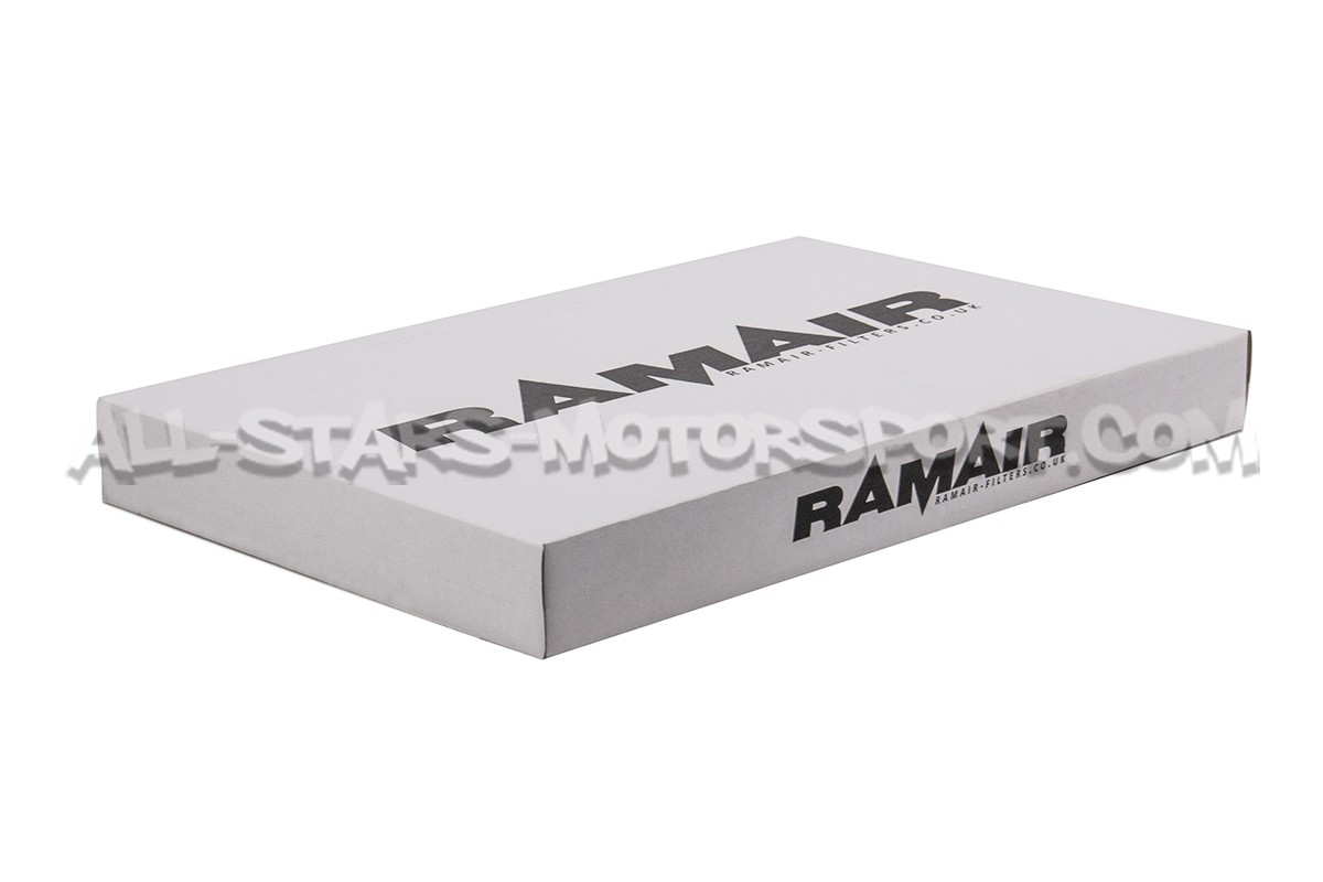BMW M2 / 135i / 235i / 335i / 435i N55 Ramair Proram Panel Air filter