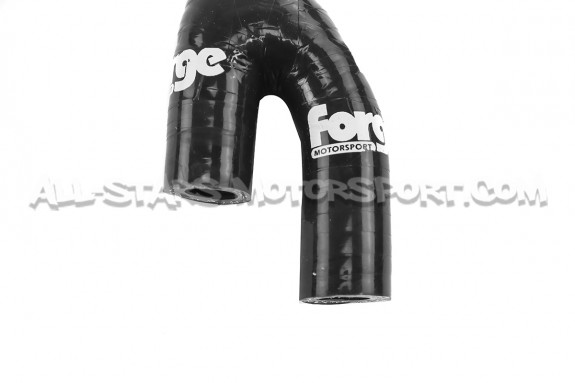Audi TT 8N / S3 8L / Leon Cupra 1M Forge Vacuum Hose