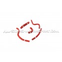Megane 2 RS Forge Ancillary Hoses Kit