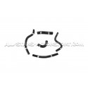 Megane 2 RS Forge Ancillary Hoses Kit