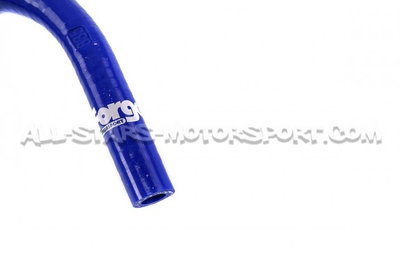 Audi TT MK1 8N / S3 8L / Leon Cupra 1M Forge Servo Hose