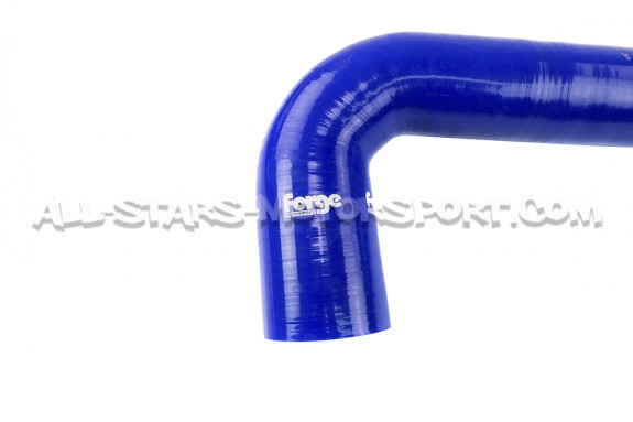 Mini Cooper S R56 Forge Resonator Delete Hose