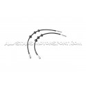 Latiguillos de freno metalicos Goodridge para