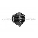 Outlet muffler delete Forge Audi S3 8V / S1 / TT 8S