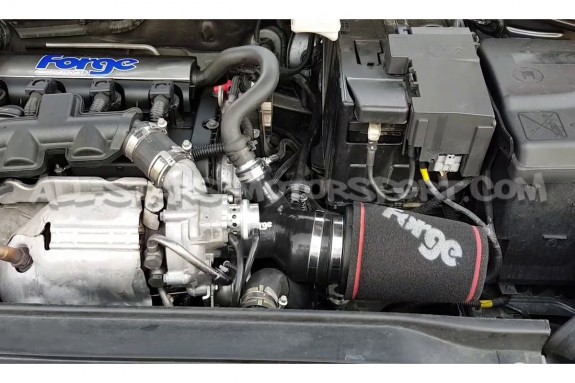 Civic Type R FK8 Forge Motorsport Intake