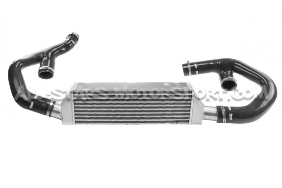 Intercambiador Forge para Audi TTS 8J