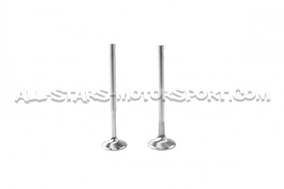 Ferrea Competition Plus Engine Valves x30 for Audi S4 B5 and RS4 B5