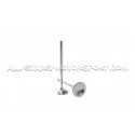 Ferrea Competition Plus Engine Valves x20 for S3 8L / TT 8N / Leon 1M / Golf 4 GTI 1.8T 20V