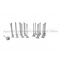 Ferrea Competition Plus Engine Valves x20 for S3 8L / TT 8N / Leon 1M / Golf 4 GTI 1.8T 20V