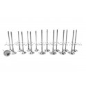 Ferrea Competition Plus Engine Valves x16 for Leon 2 Cupra / Golf 6 R / S3 8P 2.0 TFSI EA113