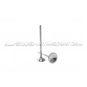 Kit de 24 valvulas Ferrea Competition Plus para BMW M3 E46