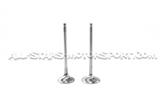 Ferrea Competition Plus Engine Valves x24 for BMW 135i E8x / 1M / 335i E9x N54