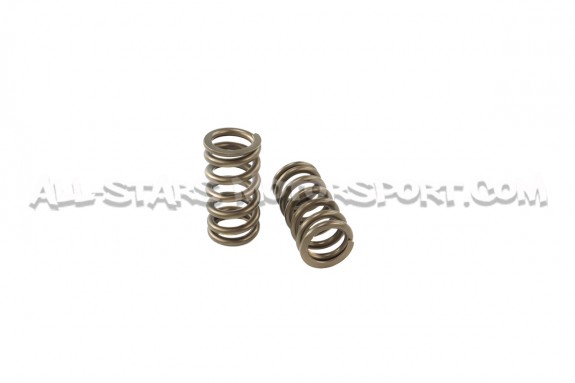 Ferrea Valve Springs and Retainers Kit for Audi S3 8P / Golf 5 GTI ...