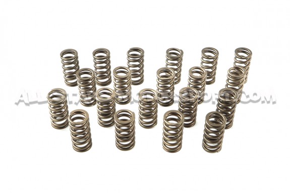 Ferrea Valve Springs and Retainers Kit for Audi RS3 / TTRS 2.5 TFSI