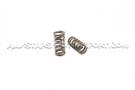 Ferrea Valve Springs and Retainers Kit for Audi RS3 / TTRS 2.5 TFSI
