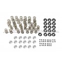 Ferrea Valve Springs and Retainers Kit for Honda Civic EG / EK 1.6 ...