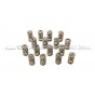 Ferrea Valve Springs and Retainers Kit for Focus 3 RS / Mustang S550 2.3 Ecoboost