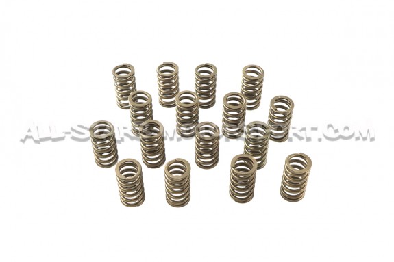 Ferrea Valve Springs and Retainers Kit for Focus 3 RS / Mustang S55...