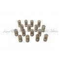 Ferrea Valve Springs and Retainers Kit for Focus 3 RS / Mustang S55...
