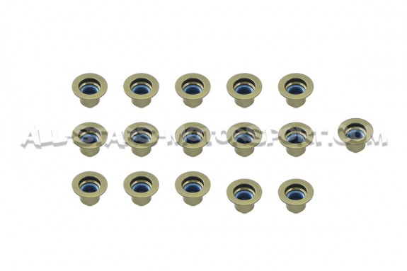 Ferrea Valve Springs and Retainers Kit for Focus 3 RS / Mustang S55...