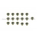 Ferrea Valve Springs and Retainers Kit for Focus 3 RS / Mustang S55...