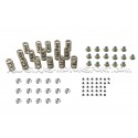 Kit de muelles y copelas de valvula Ferrea para Focus 3 RS / Mustan...