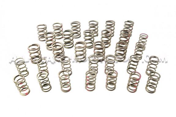 Ferrea Valve Springs and Retainers Kit for Mitsubishi Lancer Evo 10