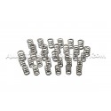 Ferrea Valve Springs and Retainers Kit for Honda S2000