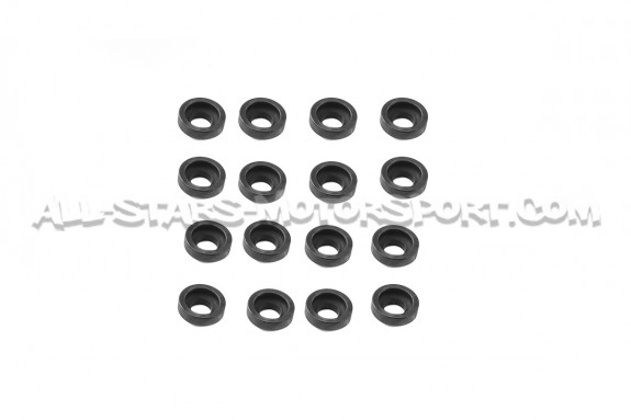 Kit de muelles y copelas de valvula Ferrea para Honda S2000