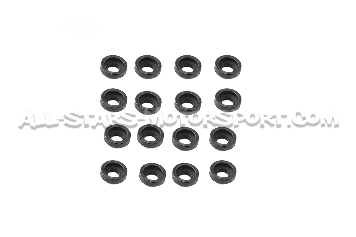Kit de muelles y copelas de valvula Ferrea para Honda S2000