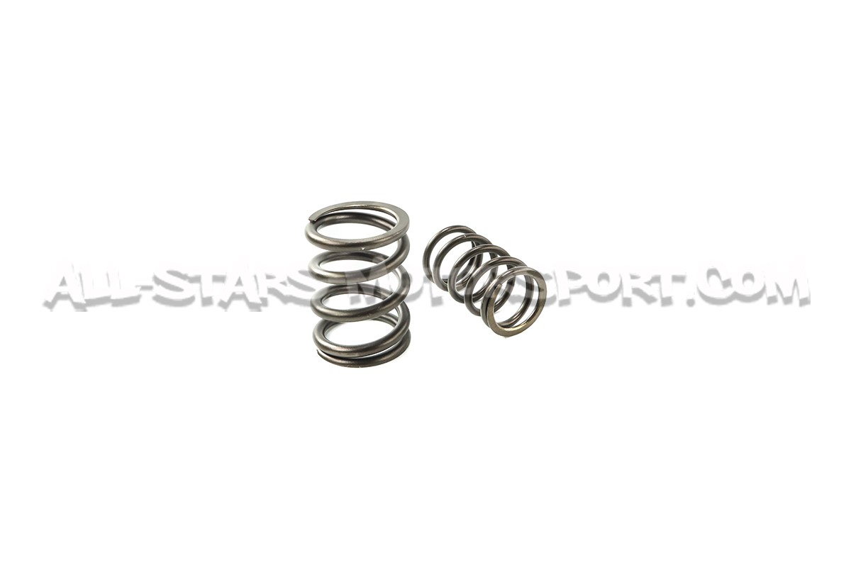 Kit de muelles y copelas de valvula Ferrea para Honda S2000
