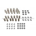 Kit de muelles y copelas de valvula Ferrea para S3 8L / TT 8N / Leo...
