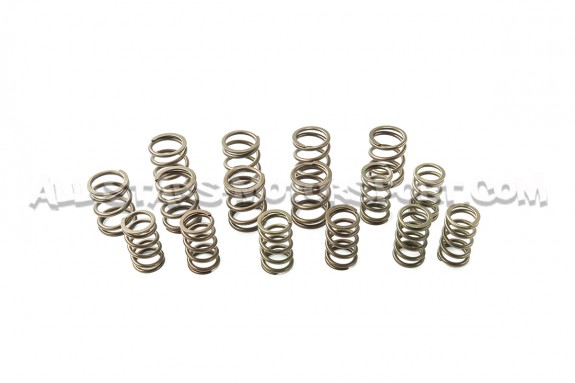 Ferrea Valve Springs and Retainers Kit for S3 8L / TT 8N / Leon 1M ...