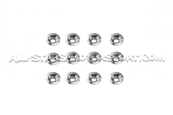 Ferrea Valve Springs and Retainers Kit for S3 8L / TT 8N / Leon 1M ...