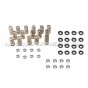 Kit de muelles y copelas de valvula Ferrea para Golf 6 GTI / Scirocco / Leon 2 FR 2.0 TSI EA888.1