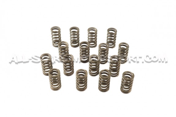 Kit de muelles y copelas de valvula Ferrea para Golf 6 GTI / Sciroc...