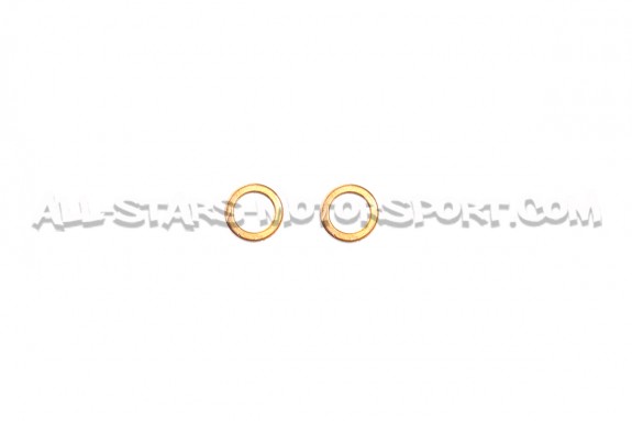 Flexibles de frein aviation Goodridge pour Clio 4 RS