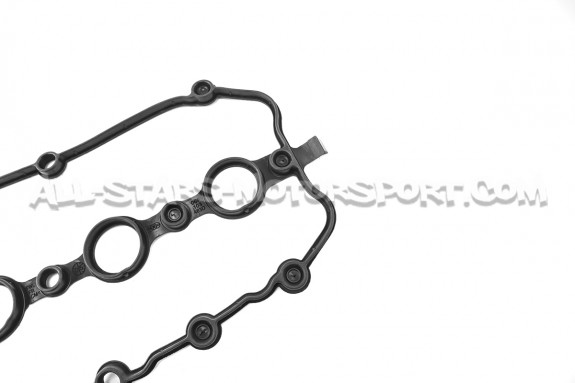Audi S3 8P / Golf 6 R / Golf 5 GTI / Leon 2 Cupra 2.0 TFSI EA113 Va...