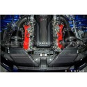 Tapa de radiador / difusor de aire de carbono Eventuri para Audi RS...