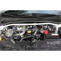 Renault Clio 4 RS Forge Boost Silicone Hoses