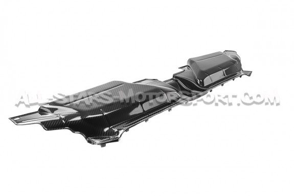 Tapa de radiador / difusor de aire de carbono Eventuri para Audi RS...