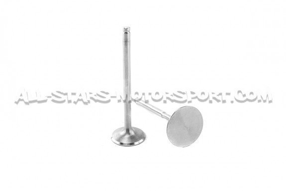 Kit de 12 soupapes Ferrea Competition Plus pour Golf 3 VR6